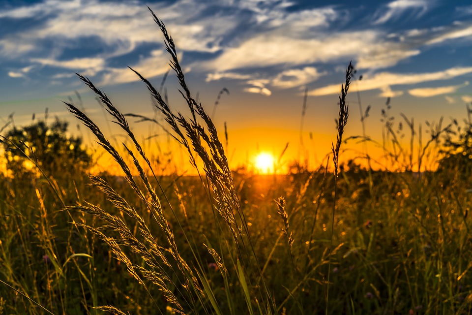 Hea ilm sõltub eelarvest